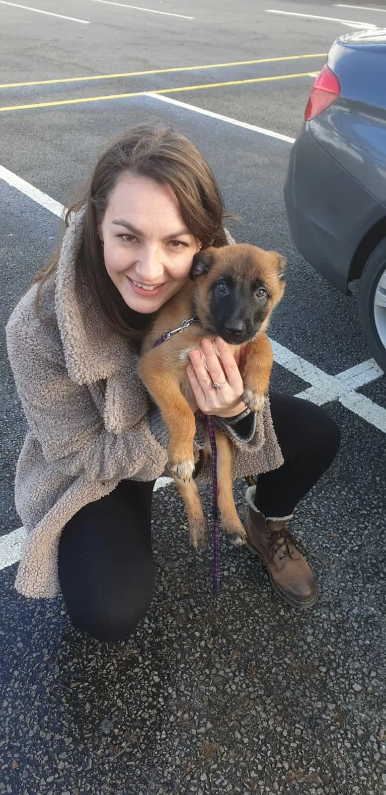 Arya, C litter puppy
