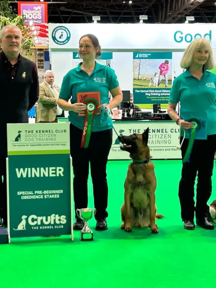 Havoc (AnkerCanis Gruffalo) at Crufts