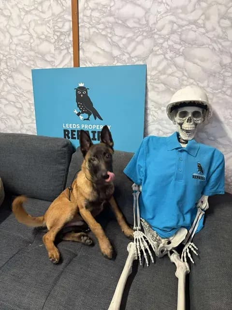 Zoltar, AnkerCanis Keen to Learn