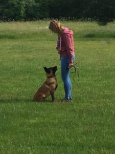 0fd6a11b-4a3f-4918-8fde-4520cbda9419