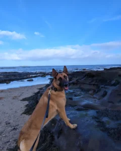 1000070122