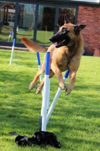 Agility session April 2022 C