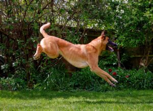 Jenna Leaping Aug 2023