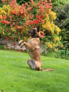 Jenna Training May 2024