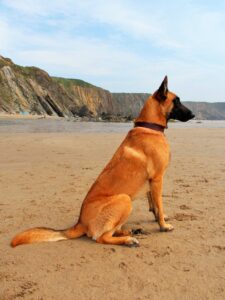 Jenna on Marloes Sand Pembrokeshire A2 July 2021