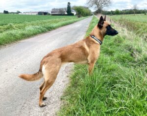 Jenna on the long road April 2022