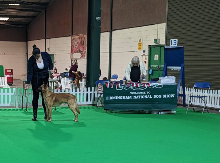 National dog show