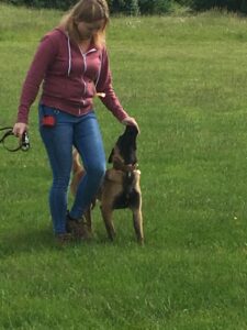 d98a49a3-c3c4-4e4f-b2e8-9fc64def0339