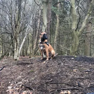 hunter2-04