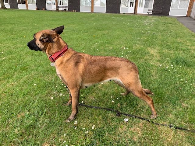 photo.aba1c16bd8a4597c