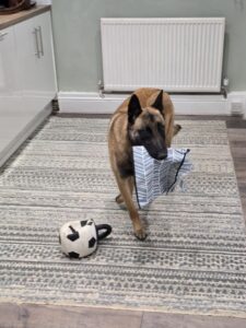 1371ab6e-1d6e-4bb1-8f47-52079b9dc5c9