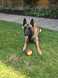 503f917e-9b4a-4b87-ab10-a6c0986f8028