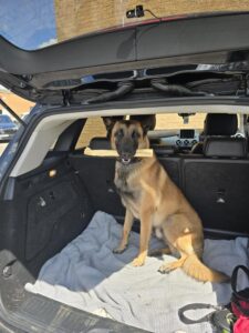 51233252-f1b8-4f4e-8ff5-e0a509efee3b