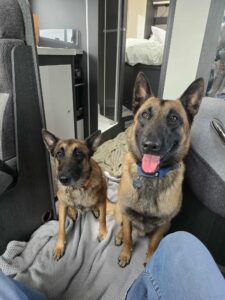 533115511_2570835289942409_8542722122836053933_n (1)