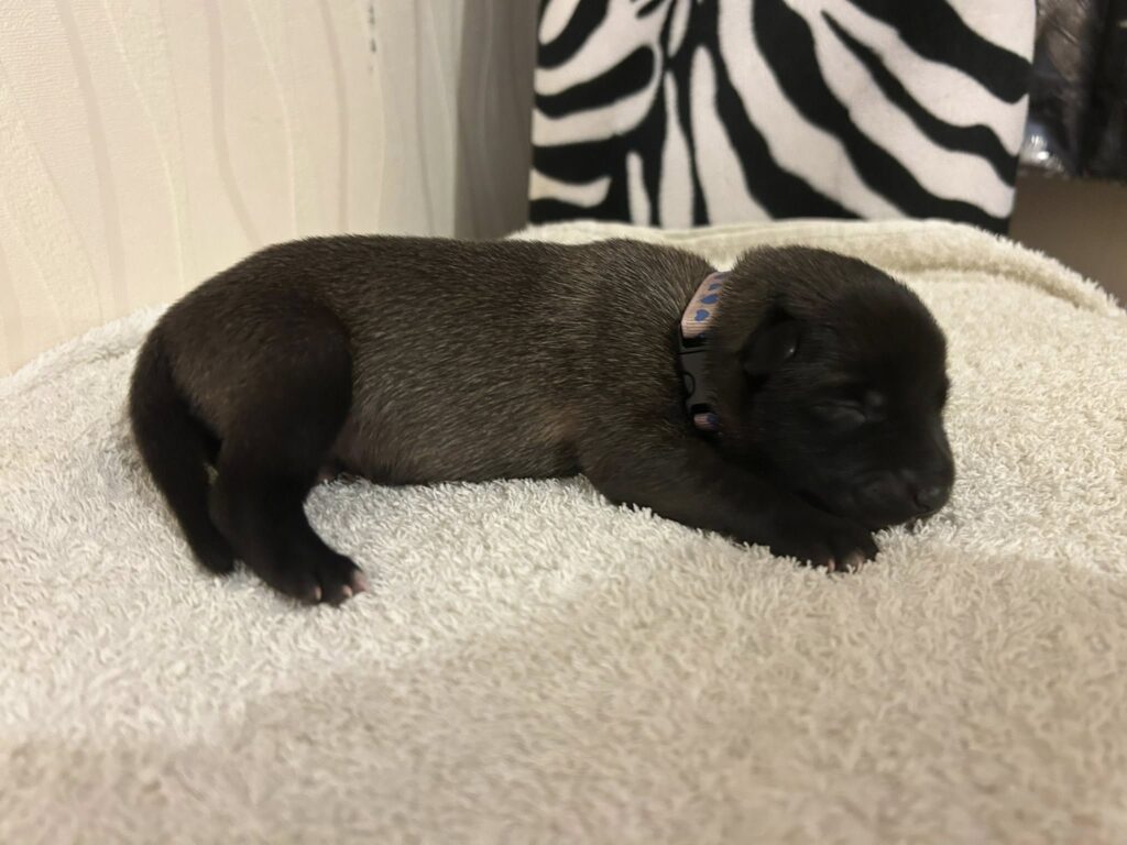 549148546_1670748540810966_7687951916605302247_n