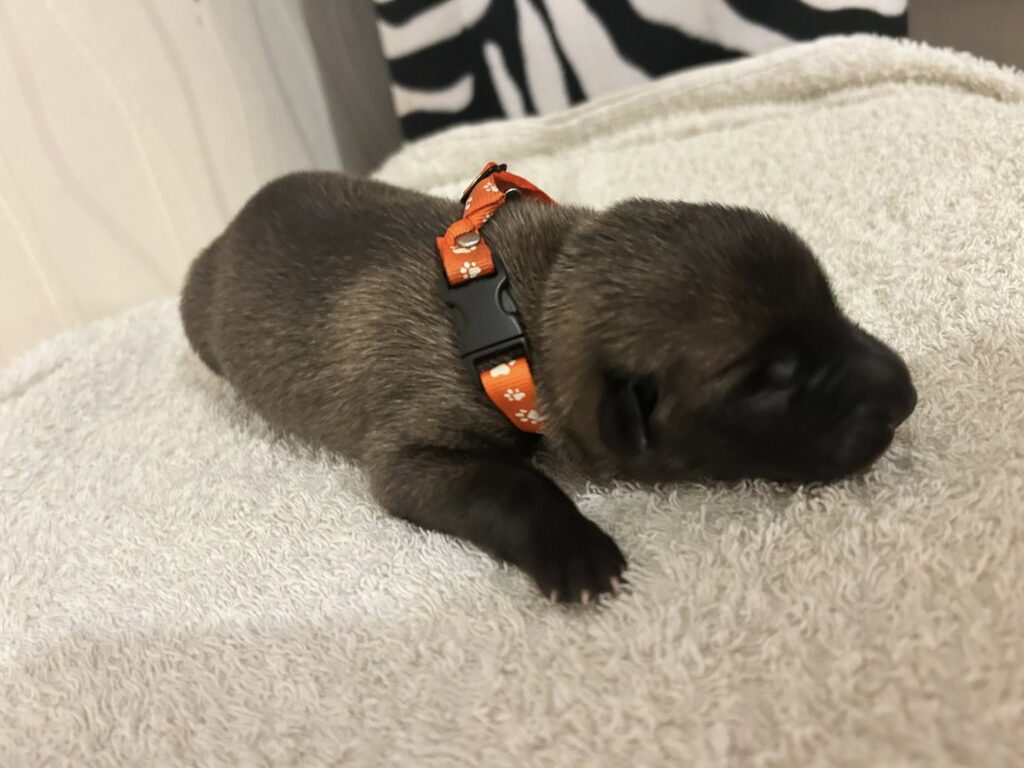 549327863_1670748370810983_8680700746538810309_n