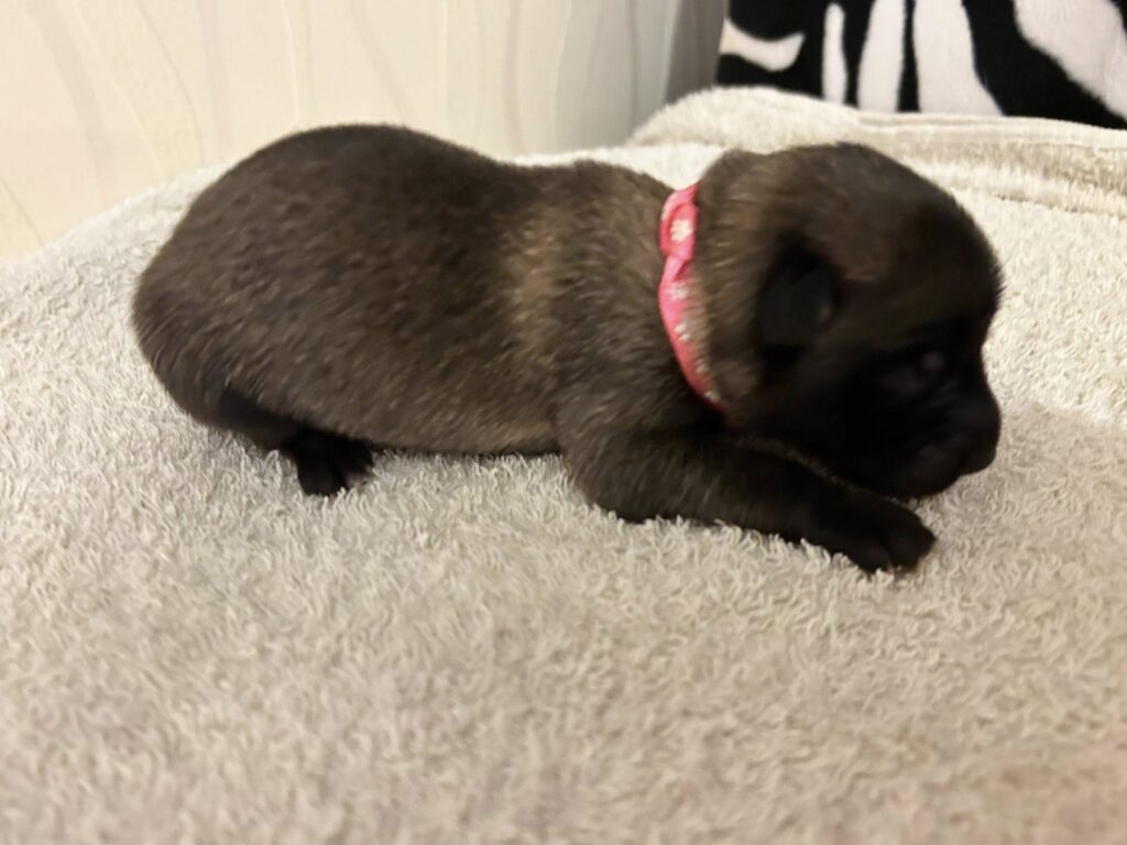 549595796_1670748430810977_4158143363938710753_n