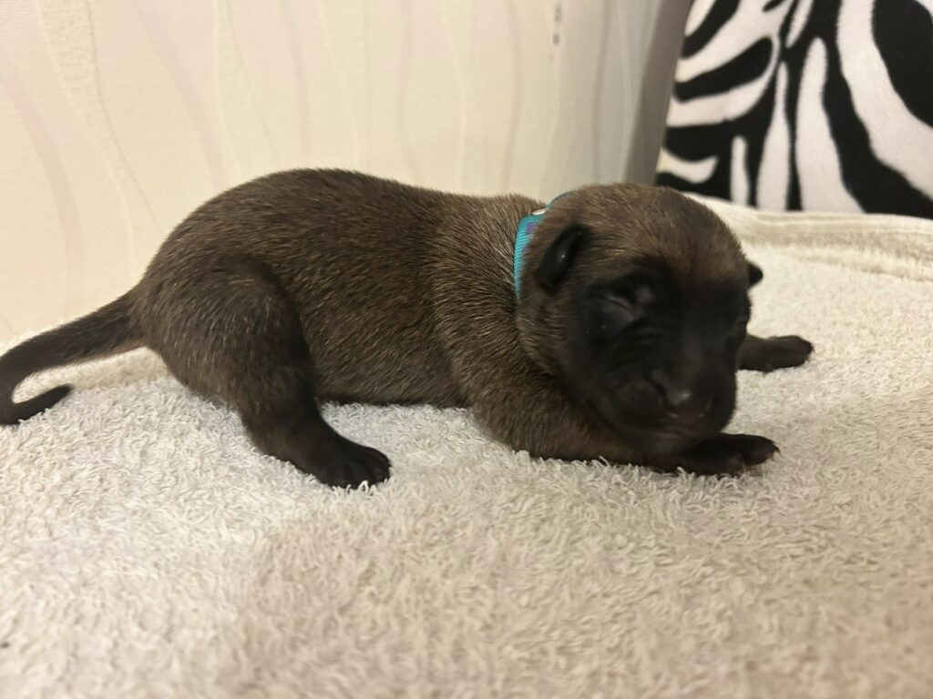 549601225_1670748424144311_8900595349986103267_n