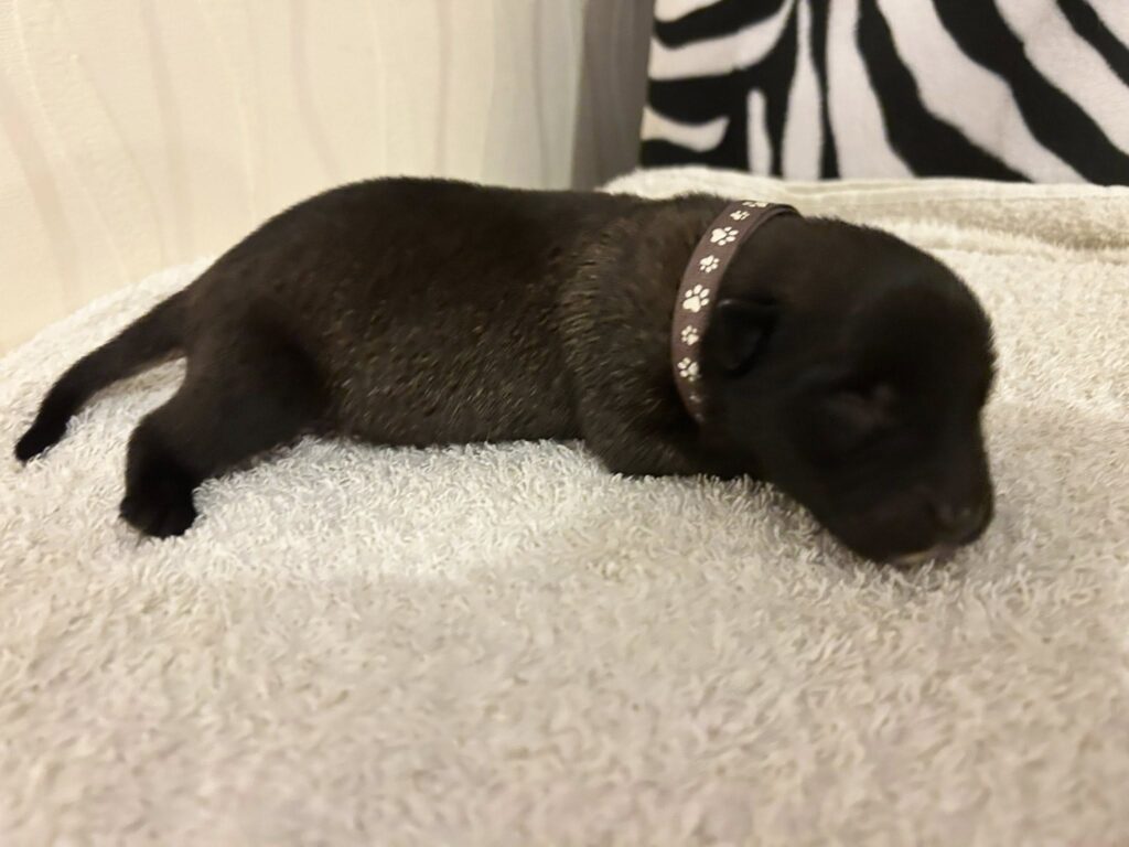 549705387_1670748380810982_2339564778678774273_n