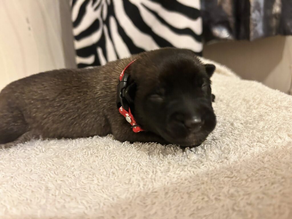 549857110_1670748457477641_3459238211278233090_n