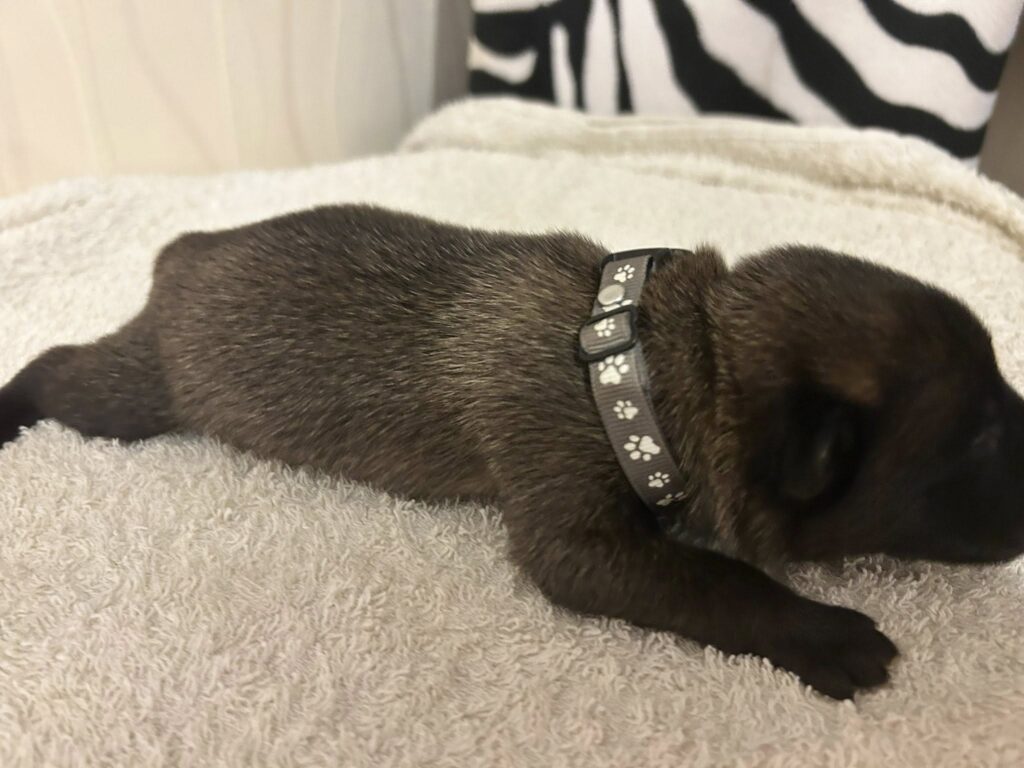 550230169_1670748530810967_2150148325952075766_n