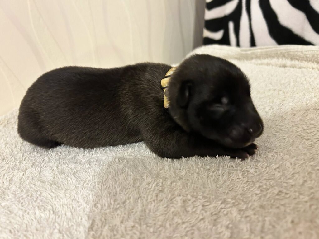 550800672_1670748464144307_8448805460725372304_n