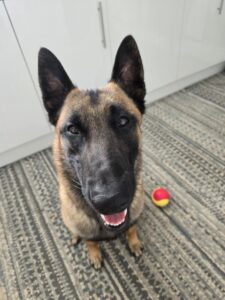 6e0bdffa-bea0-4cfc-af27-c45d8fb1db0a