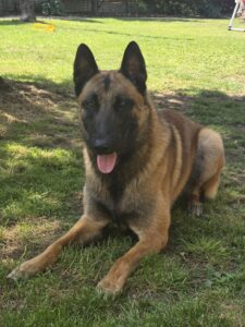 8086c589-002d-44f8-a8d5-7fe02afdec7c