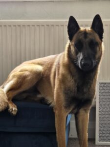 8ef9400d-49cc-47b9-afdf-7e635d255974