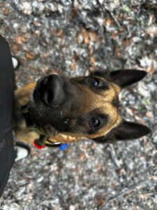 IMG_3109