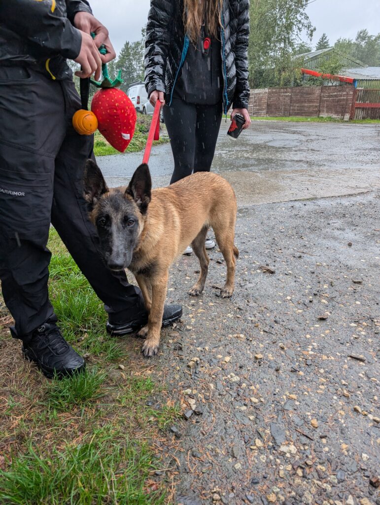 PXL_20250907_141410157.MP