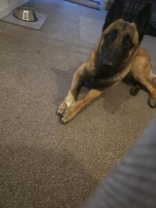 b80c935b-a08d-4efe-a486-0afc31d8da1e
