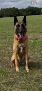 koda