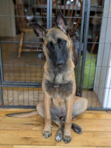 received_2044275792765836