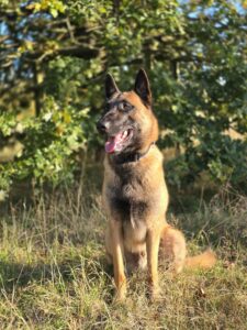 received_647615031476266