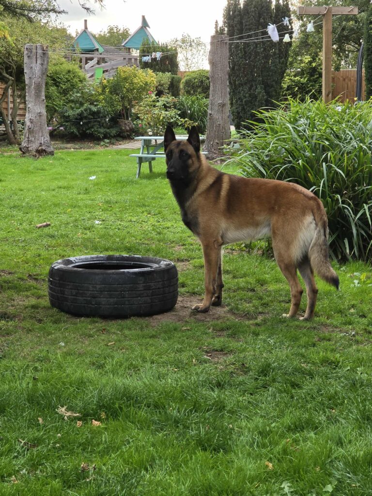 Messenger_creation_63902190-B043-4EF2-82BE-3C0A6D10FD38