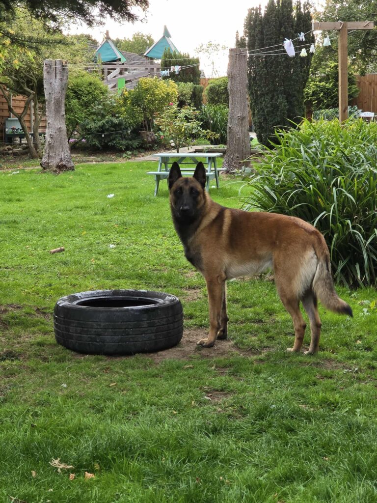 Messenger_creation_7F779A1C-5274-4E6C-ABD2-648000950338