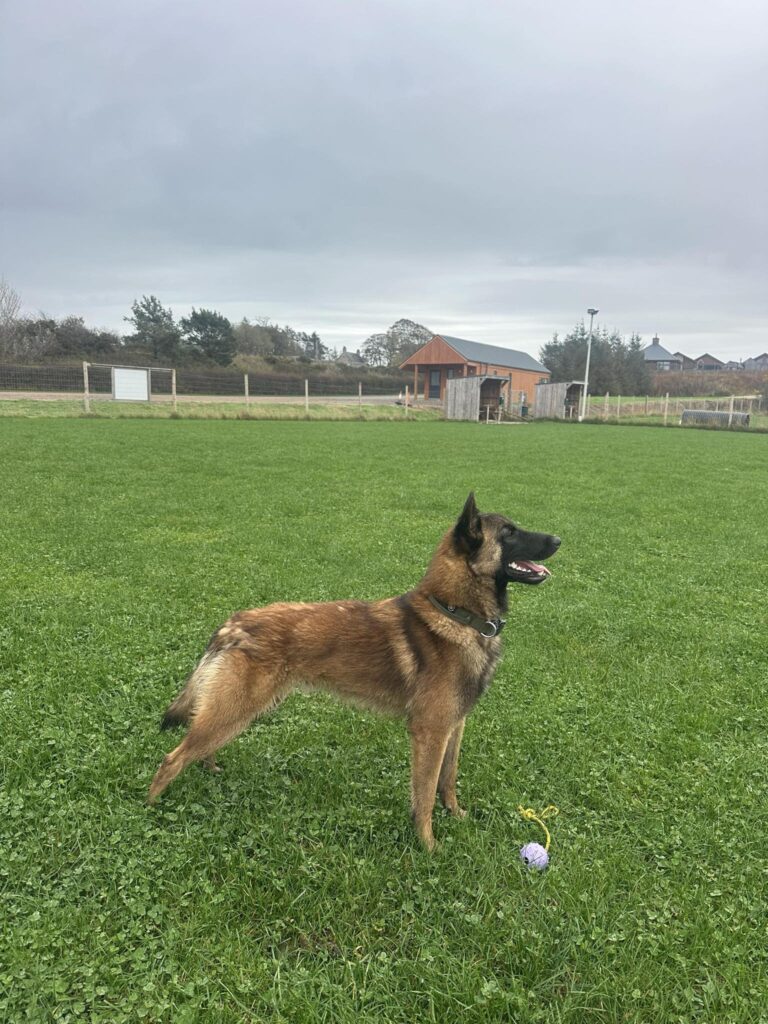 received_3810488695911172