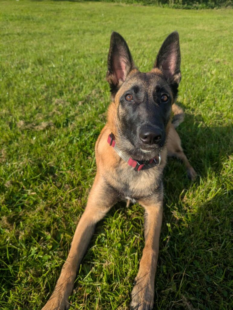 received_699699129087193