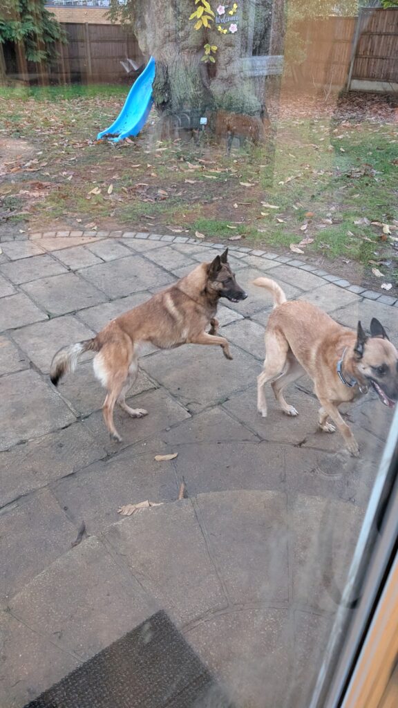 PXL_20251129_154337319