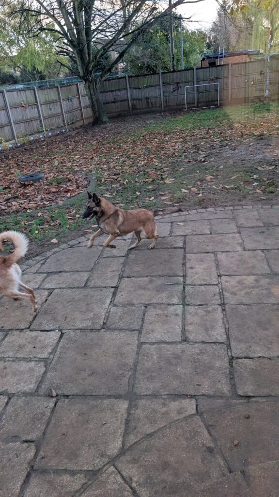 PXL_20251129_154355231