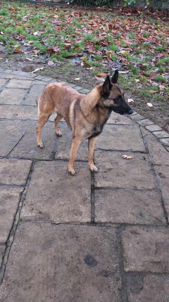 PXL_20251129_155721758