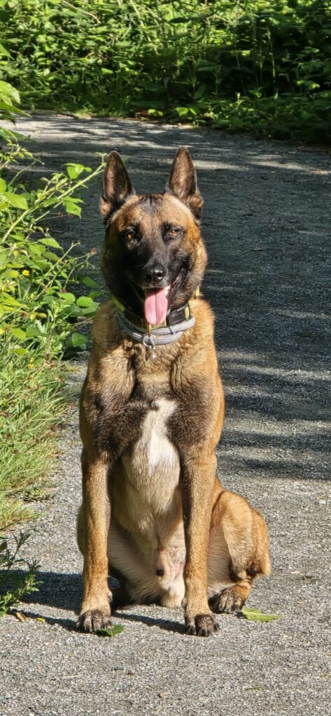 eb0cded3-8a47-4669-b538-5134f299f913