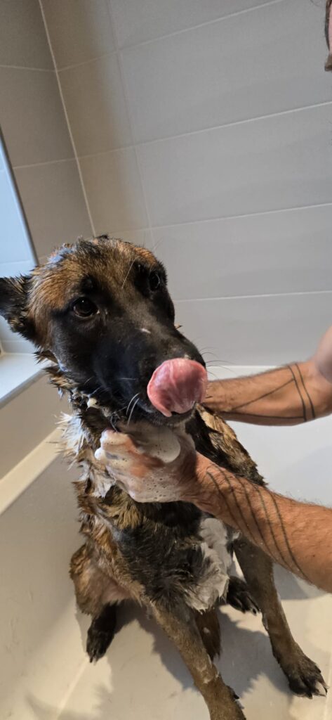 fb1c24e0-62bb-4f20-a10b-c4c2af2eea9a