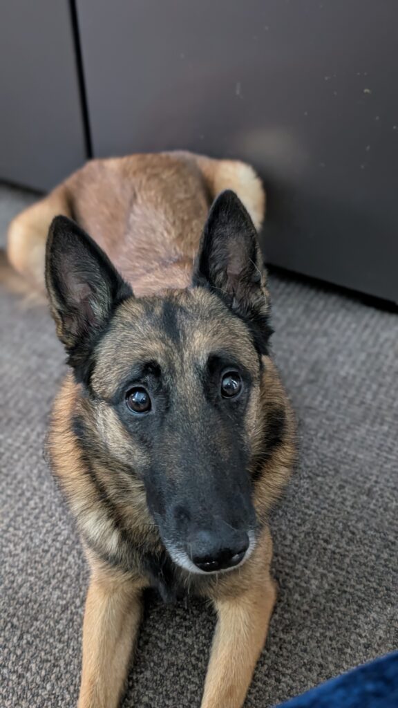 PXL_20251130_151800072.PORTRAIT