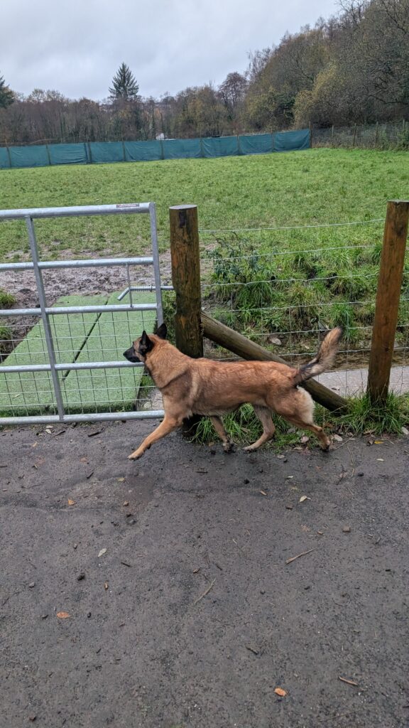 PXL_20251201_111701065