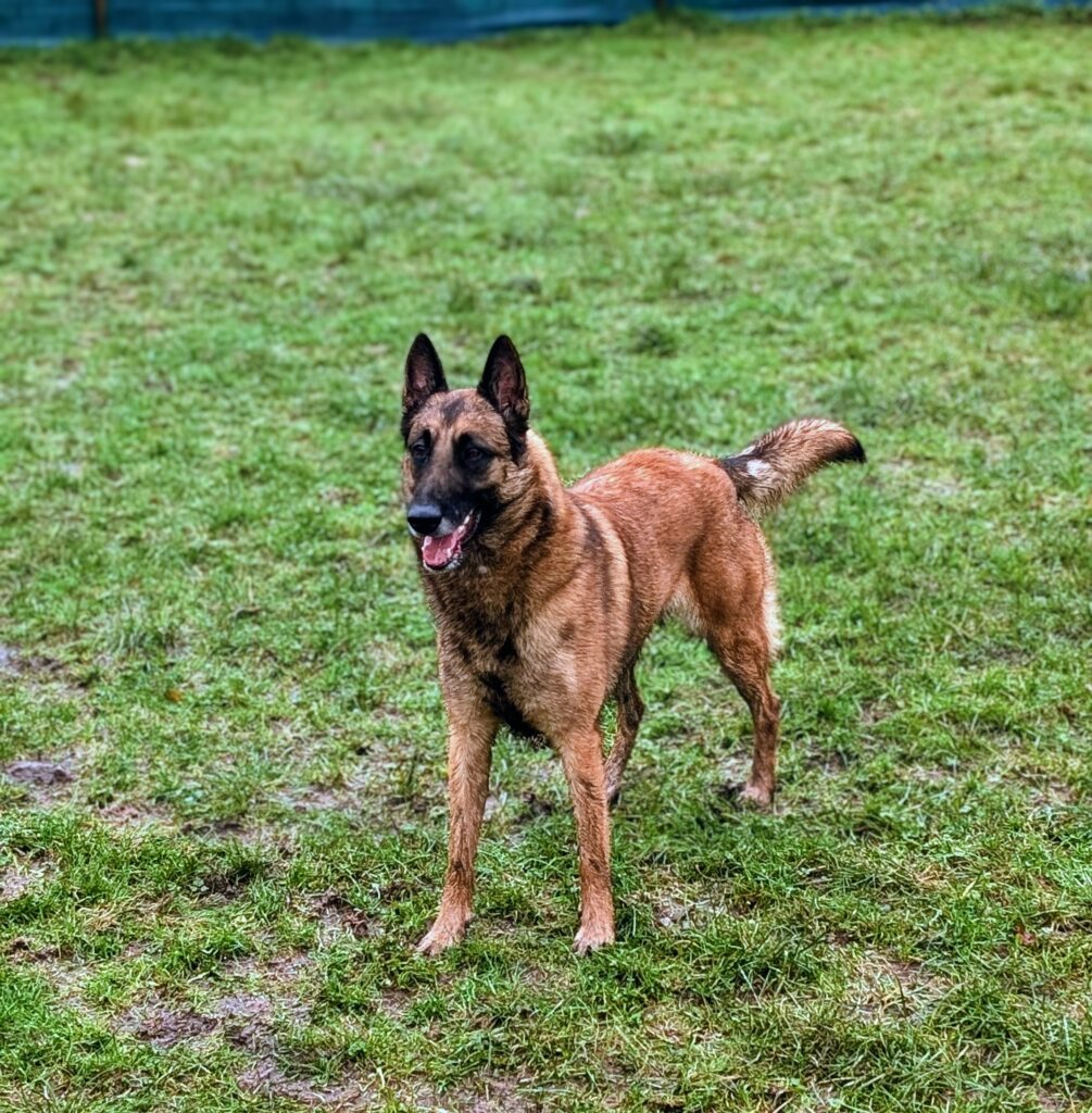 PXL_20251201_112147075.PORTRAIT~3