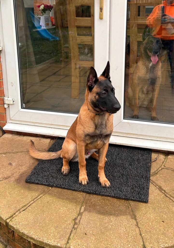 WhatsApp Image 2026-02-21 at 15.22.43